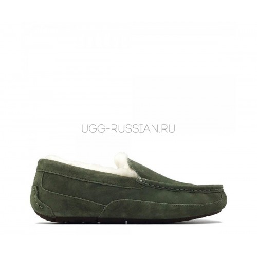UGG Mens Ascot Burnt Olive