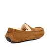 UGG Men's Ascot Chestnut UGG Men's Ascot Chestnut