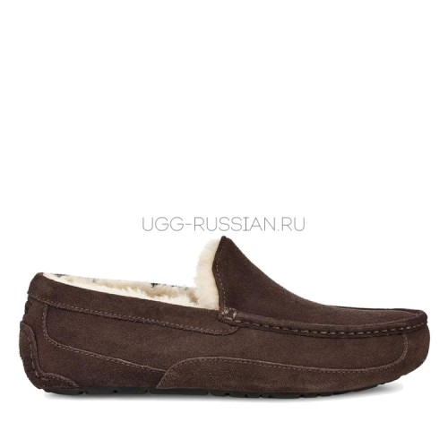 UGG Men's Ascot Chocolate